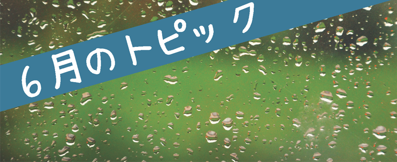 6月のトピック